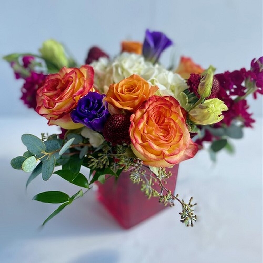 Fuchsia Dreams in Norman OK - Redbud Floral
