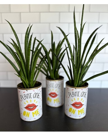 Plant One On Me Plant