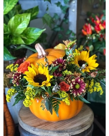 Pumpkin Love Flower Arrangement