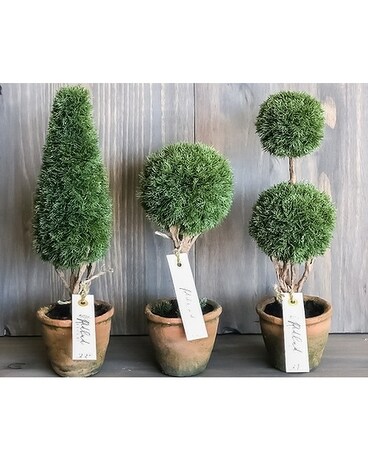 Mini Faux Juniper Specialty Arrangement