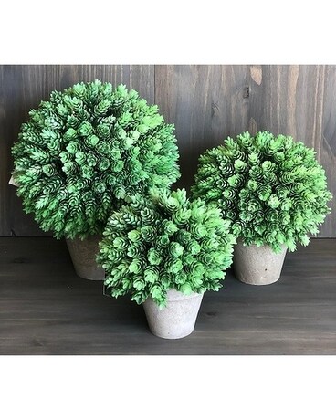 Hops Topiary Specialty Arrangement