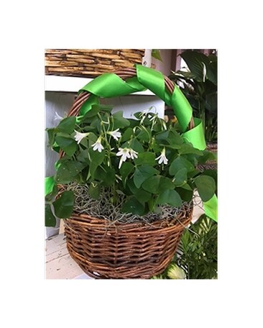 Shamrock Basket