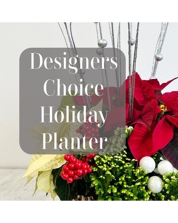 Designers Choice Holiday Planter Dish Garden Plant