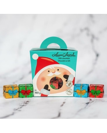 Laura Secord Milk Chocolate Gift Pouch - Gifts