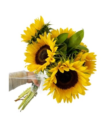 Market Bunch of Local Sunflowers Bouquet