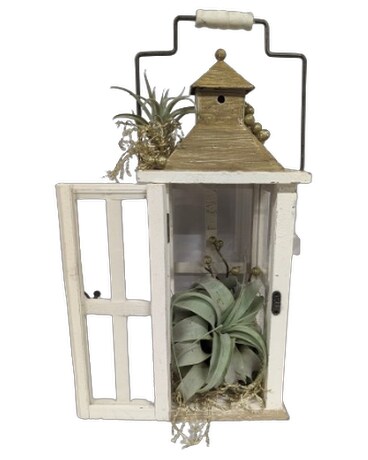 Tillandsia Lantern Flower Arrangement