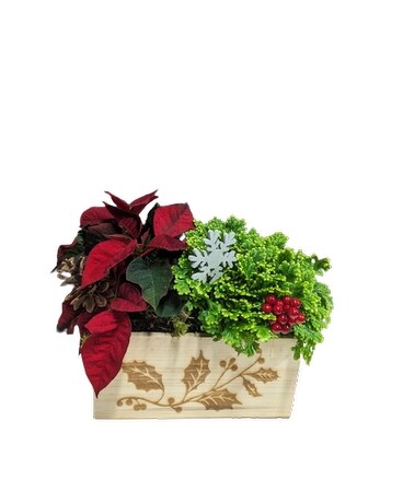 Merry Planter Plant