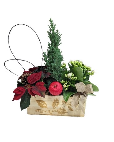 Festive Whimsy Plant