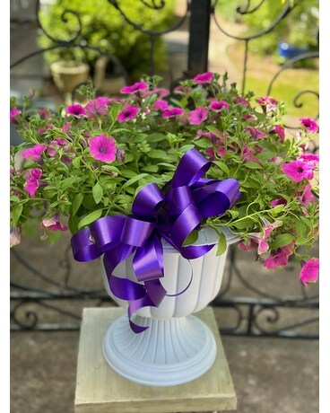 Purple Petunia Patio Pot Custom product