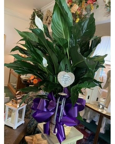 Medium Peace Lilly With Wind Chime Custom product