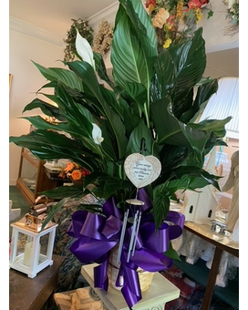 Medium Peace Lilly With Wind Chime Custom product