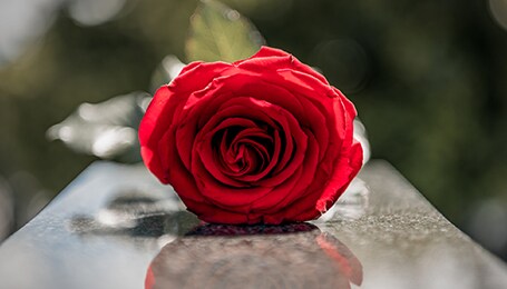Sympathy Arrangements