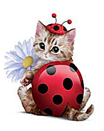 Sweet Little Cuttle Bug Flower Arrangement