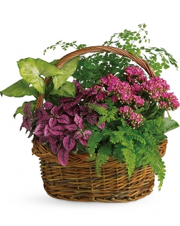 Secret Garden Basket Flower Arrangement