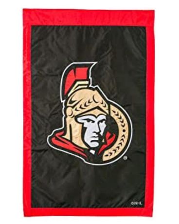 Ottawa Senators Flag Flower Arrangement