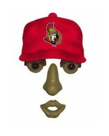 Ottawa Senators Tree Hugger Flower Arrangement