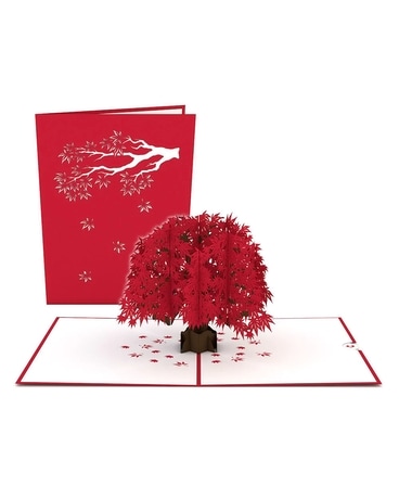 Lovepop Japanese Maple Card