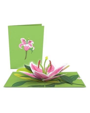 Lovepop Lily Bloom Card