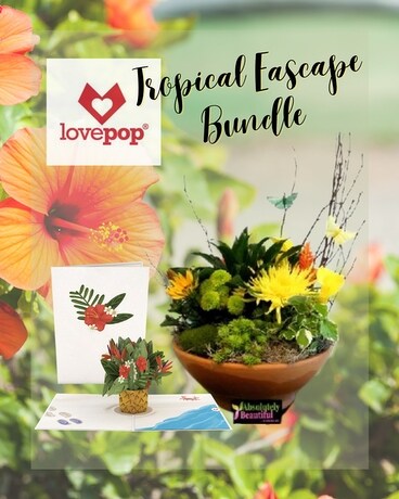 Tropical Escape Bundle Flower Arrangement