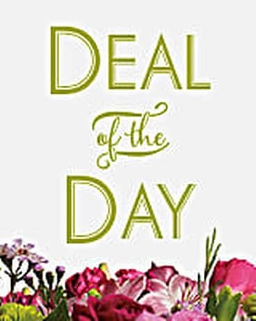 Deal of the Day - Small Vase Arrangement Flower Arrangement