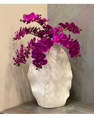 PURPLE PHALAENOPSIS BUNDLE Flower Arrangement