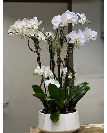 Bouquets by Occasions Delivery Woodbury NY - Florique