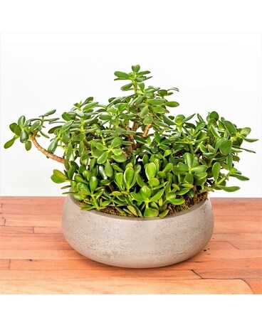 Jade Garden Flower Arrangement