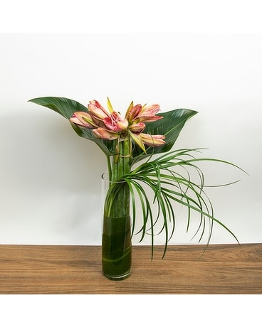 Amaryllis with a Modern Twist Flower Arrangement