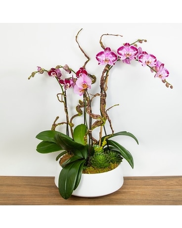 Purple Rain Flower Arrangement