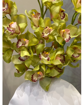 GREEN CYMBIDIUM ORCHID Flower Arrangement