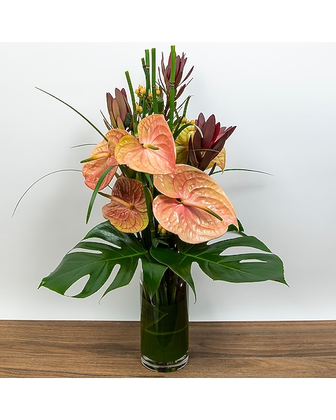 Anthurium Cognac Modern Display