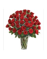 As Shown.-RED size,  inches height and  inches wide.