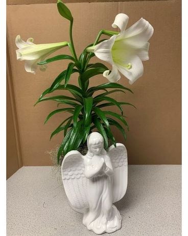 Easter Lily Flowers