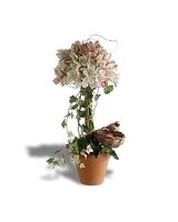 As Shown size,  inches height and  inches wide.