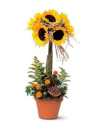 Sunflower Topiary - by Leary's Florist Flower Arrangement