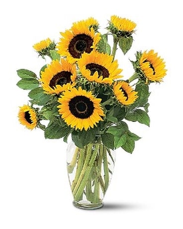 Shining Sunflowers - by Leary's Florist Flower Arrangement