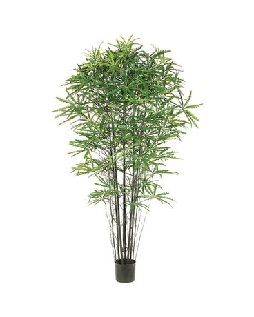 5' False Aralia Artificial Tree Plant