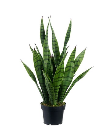 24'' Artificial Snake Plant Plant