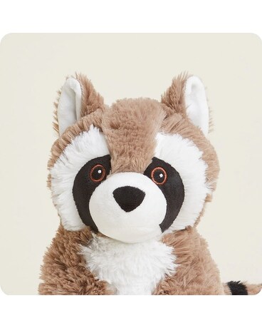 Raccoon Warmie in Elizabeth City NC - Jeffrey's Greenworld