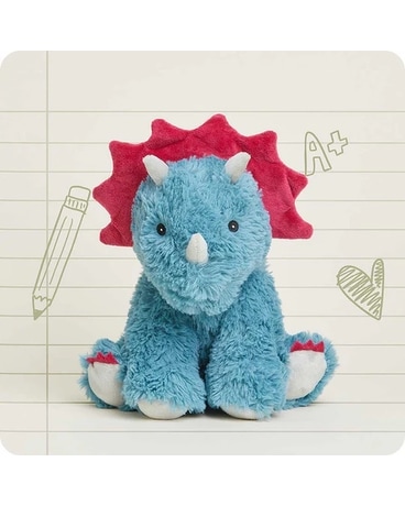 Plush Triceratops Warmie in Elizabeth City NC - Jeffrey's