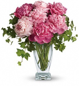 Perfect Peonies