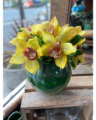Orchid Class