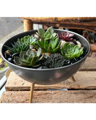 Succulents Modern Custom product
