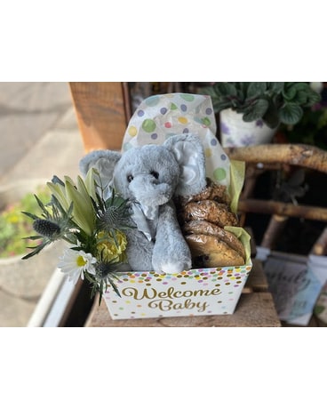 Baby Elephant and Cookies Custom product