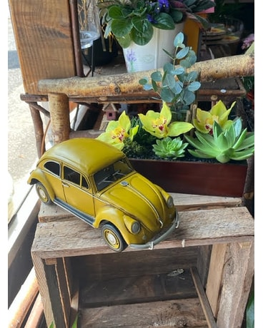 VW Beetle and Plants Custom product