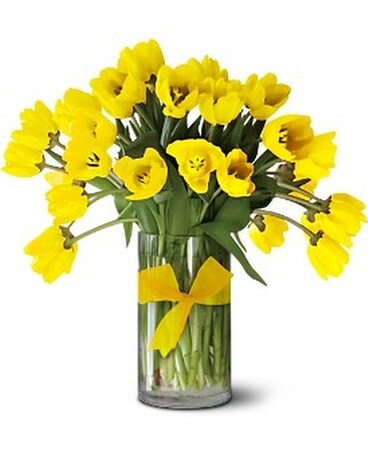Teleflora's Sunny Yellow Tulips - Premium Flower Arrangement