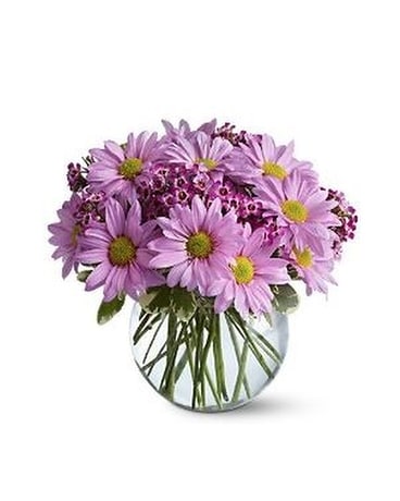 Delightfully Daisy Flower Arrangement