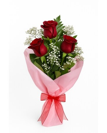 3 Red Roses Wrapped with Baby's Breath