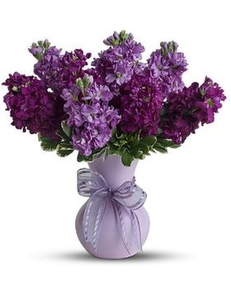 2024 Violet Vase 1