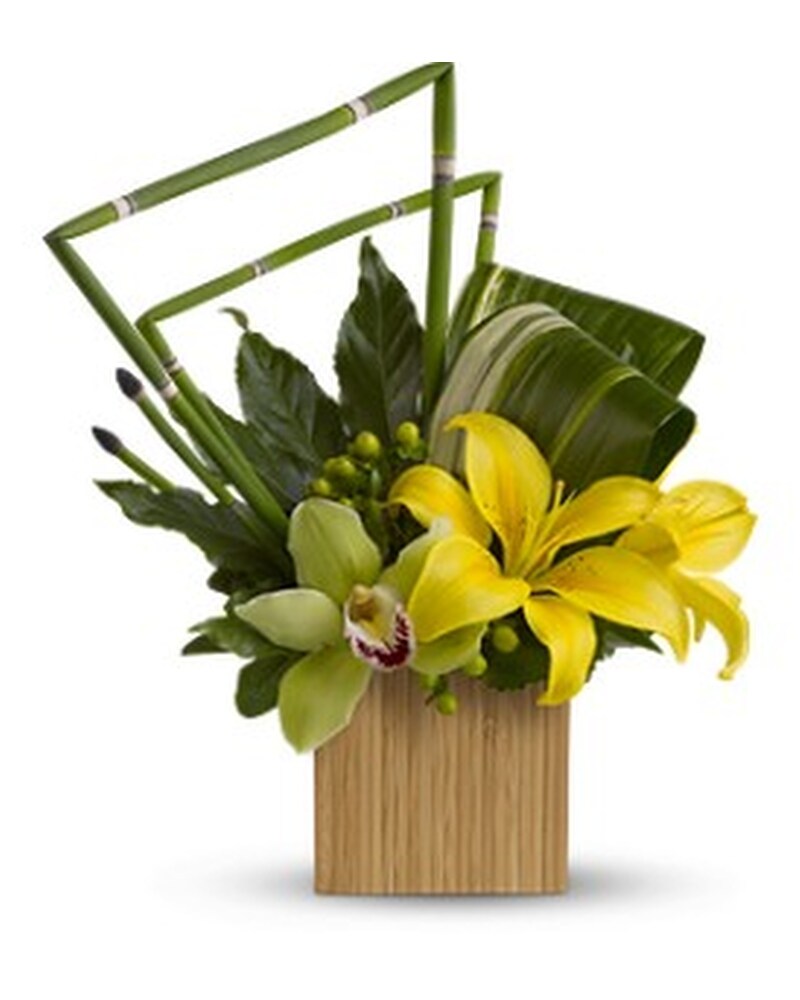 Teleflora's Bamboo Zen in Portland OR - Portland Florist Shop